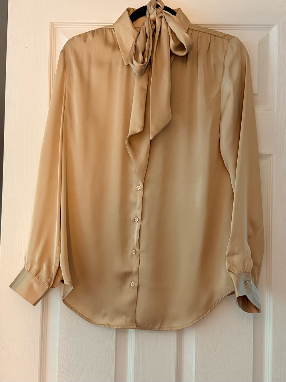 Chadwicks Champagne Satin Like Tie-Neck Blouse